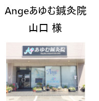 先生